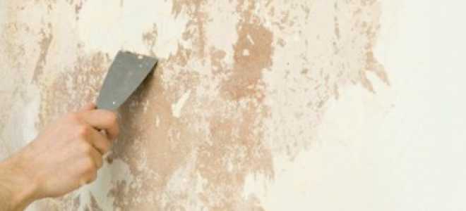 Чем побелить стены перед поклейкой обоев