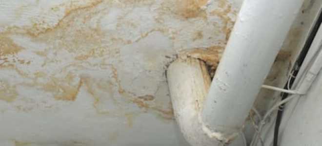 Желтые пятна под обоями после поклейки